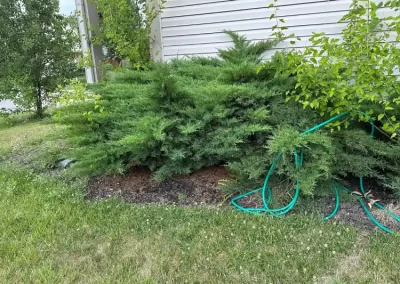 Dependable Garden Landscaping