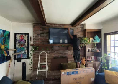 Professional Landscape Services