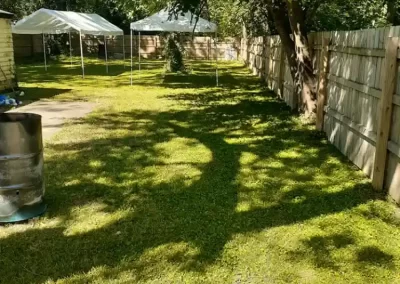 Professional Landscape Services