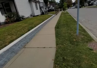 Professional Landscape Services