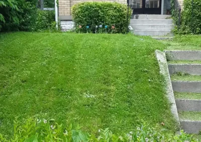 Professional Landscape Services