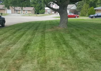 Professional Landscape Services