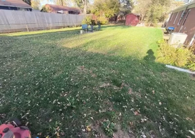 Professional Landscape Services