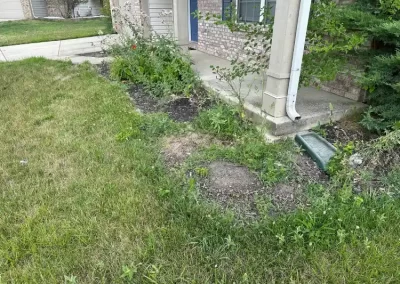 Reliable Landscaping Contractor