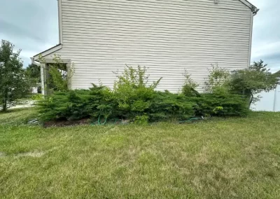 Trusted Landscape Contractor